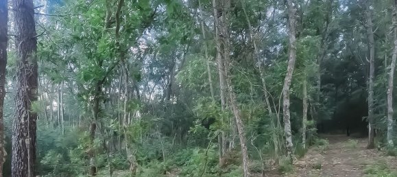 3 غرف نوم منزل في Covilha, Portugal رقم 169157 7