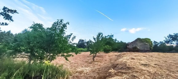 3 غرف نوم منزل في Covilha, Portugal رقم 169157 14