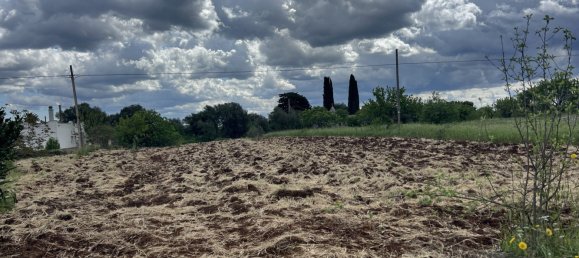 2 bedrooms Villa in Ostuni, Italy No. 129117 18