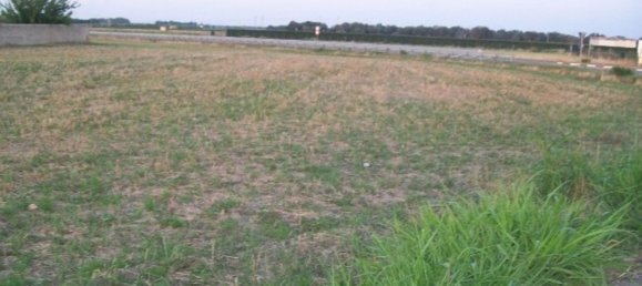 18322m² Land in Mesagne, Italy No. 254795 5