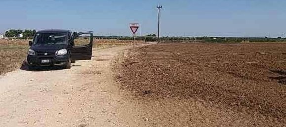 18322m² Land in Mesagne, Italy No. 254795 13