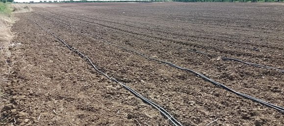 18322m² Land in Mesagne, Italy No. 254795 8