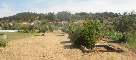 3 Schlafzimmer Haus in Abrantes, Portugal, Nr. 26314 11