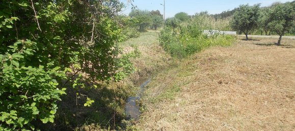 3 Schlafzimmer Haus in Abrantes, Portugal, Nr. 26314 7