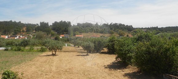 3 Schlafzimmer Haus in Abrantes, Portugal, Nr. 26314 12