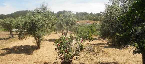 3 Schlafzimmer Haus in Abrantes, Portugal, Nr. 26314 13