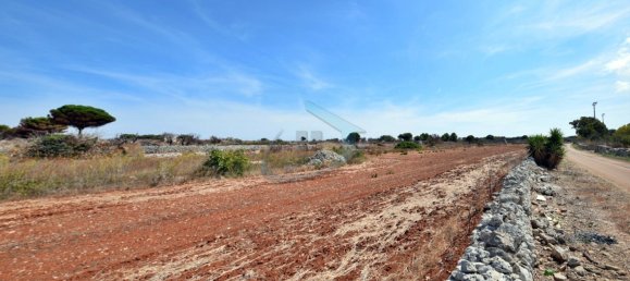 1-Zimmer Grundstück in Gagliano del Capo, Italy, Nr. 328989 14