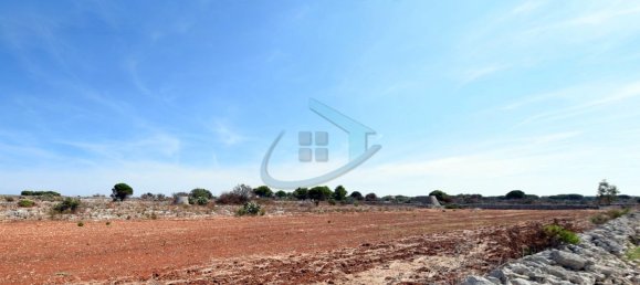 1-Zimmer Grundstück in Gagliano del Capo, Italy, Nr. 328989 15