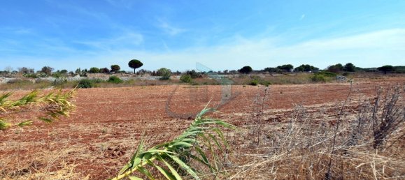 1-Zimmer Grundstück in Gagliano del Capo, Italy, Nr. 328989 4