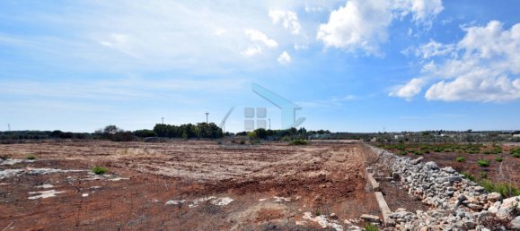 1-Zimmer Grundstück in Gagliano del Capo, Italy, Nr. 328989 9