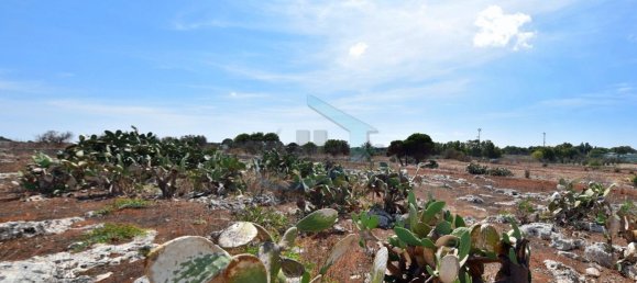 1-Zimmer Grundstück in Gagliano del Capo, Italy, Nr. 328989 11