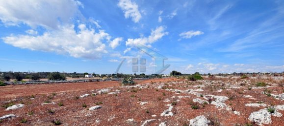 1-Zimmer Grundstück in Gagliano del Capo, Italy, Nr. 328989 6