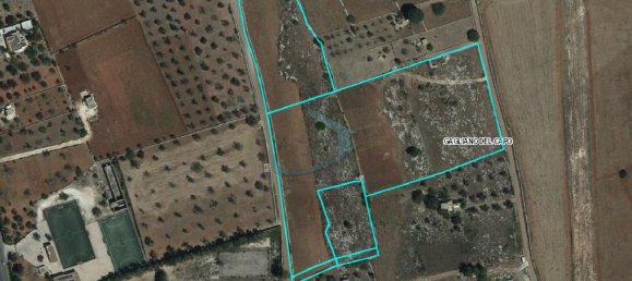 1-Zimmer Grundstück in Gagliano del Capo, Italy, Nr. 328989 12