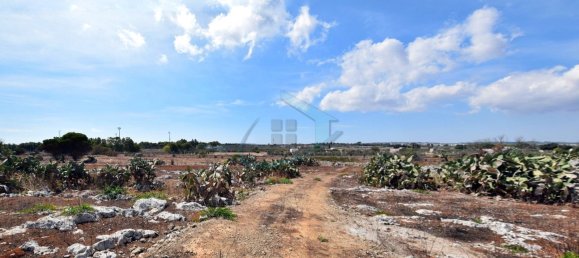 1-Zimmer Grundstück in Gagliano del Capo, Italy, Nr. 328989 7