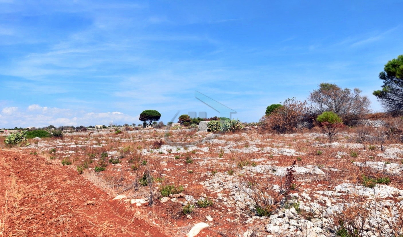 1-Zimmer Grundstück in Gagliano del Capo, Italy, Nr. 328989