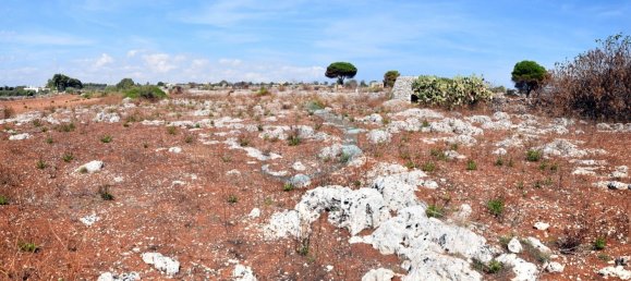1-Zimmer Grundstück in Gagliano del Capo, Italy, Nr. 328989 13