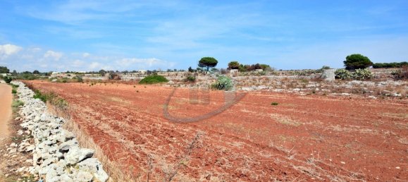 1-Zimmer Grundstück in Gagliano del Capo, Italy, Nr. 328989 5