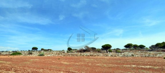 1-Zimmer Grundstück in Gagliano del Capo, Italy, Nr. 328989 2