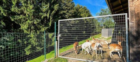 Дом с 16 комнатами в Обершлирбах, Австрия № 120699 18