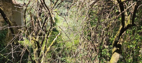 2 bedrooms House in Beco, Portugal No. 178691 10