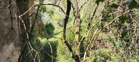 2 bedrooms House in Beco, Portugal No. 178691 9