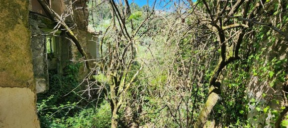 2 bedrooms House in Beco, Portugal No. 178691 8