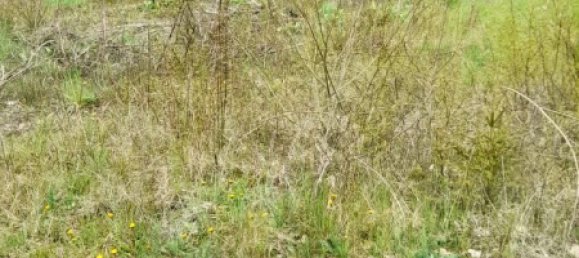 Terreno en Markischer, Germany 40 m² No. 297647 2