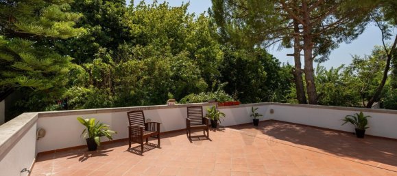 10 bedrooms Land in Vila Nova da Barquinha, Portugal No. 289790 32