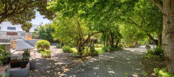 10 bedrooms Land in Vila Nova da Barquinha, Portugal No. 289790 43