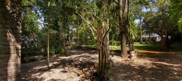 10 bedrooms Land in Vila Nova da Barquinha, Portugal No. 289790 42