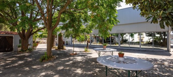 10 bedrooms Land in Vila Nova da Barquinha, Portugal No. 289790 37