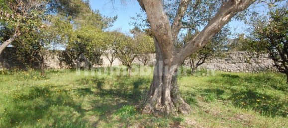 6 chambres Maison à San Donato di Lecce, Italy No. 319312 22