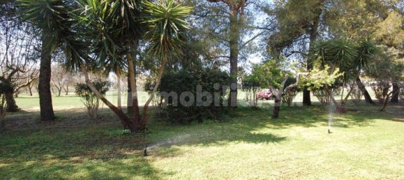 6 chambres Maison à San Donato di Lecce, Italy No. 319312 24