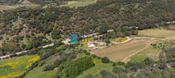 265m² Commercial property in Sant'Antonio di Gallura, Italy No. 326955 37