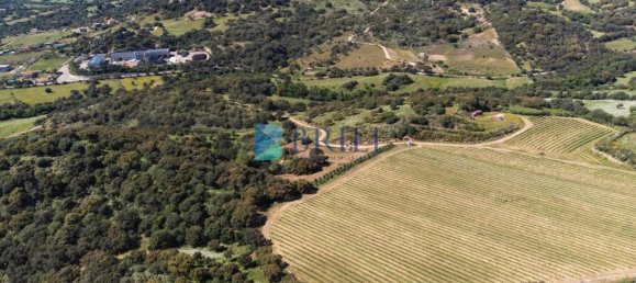 265m² Commercial property in Sant'Antonio di Gallura, Italy No. 326955 47