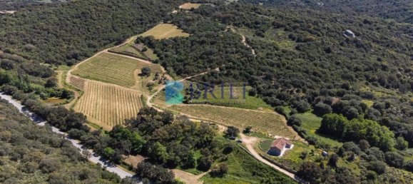 265m² Commercial property in Sant'Antonio di Gallura, Italy No. 326955 43