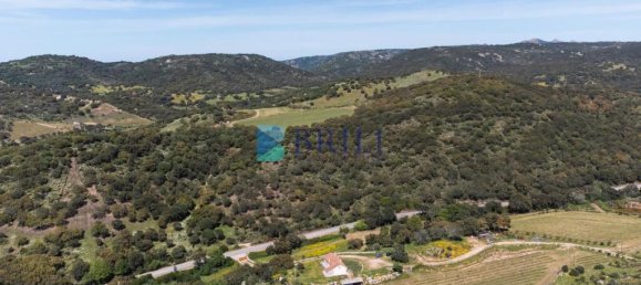 265m² Commercial property in Sant'Antonio di Gallura, Italy No. 326955 36