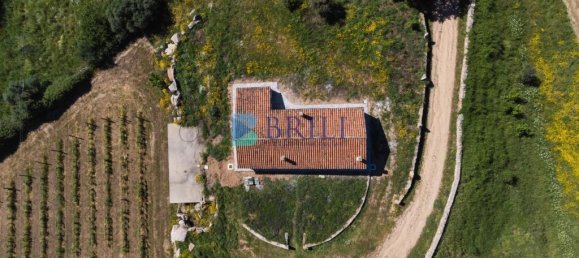 265m² Commercial property in Sant'Antonio di Gallura, Italy No. 326955 31