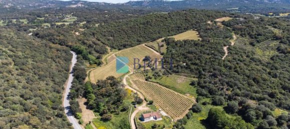 265m² Commercial property in Sant'Antonio di Gallura, Italy No. 326955 38