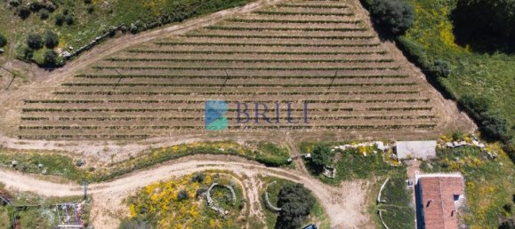 265m² Commercial property in Sant'Antonio di Gallura, Italy No. 326955 30