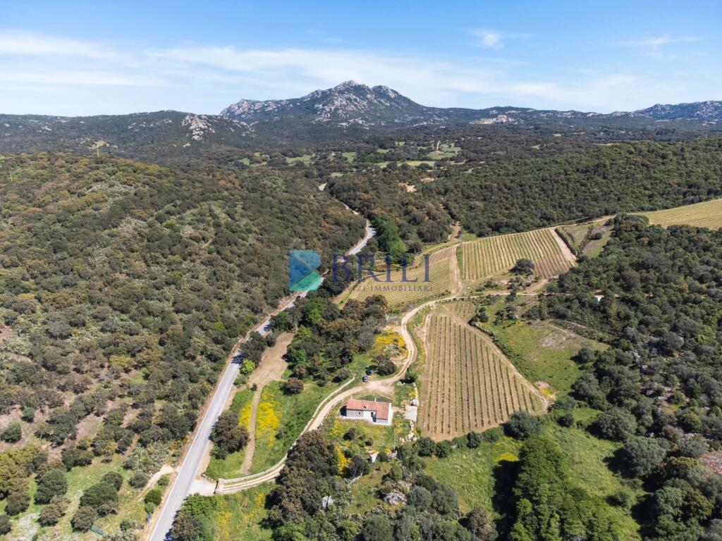 265m² Commercial property in Sant'Antonio di Gallura, Italy No. 326955