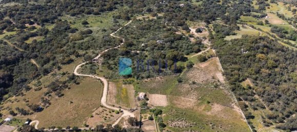 265m² Commercial property in Sant'Antonio di Gallura, Italy No. 326955 49