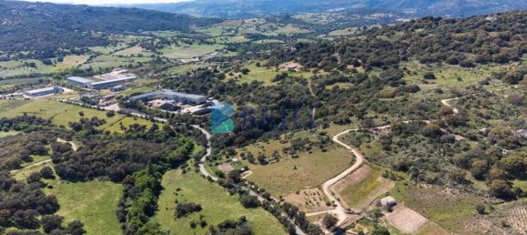 265m² Commercial property in Sant'Antonio di Gallura, Italy No. 326955 2