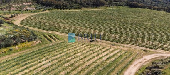 265m² Commercial property in Sant'Antonio di Gallura, Italy No. 326955 40