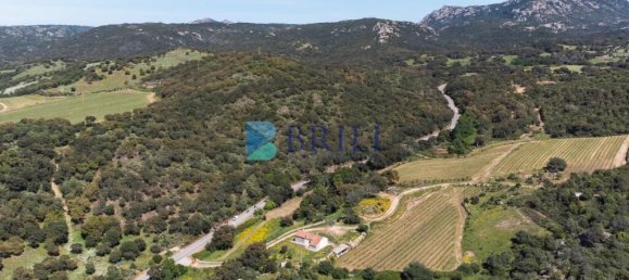 265m² Commercial property in Sant'Antonio di Gallura, Italy No. 326955 35
