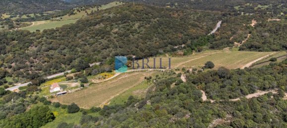 265m² Commercial property in Sant'Antonio di Gallura, Italy No. 326955 34