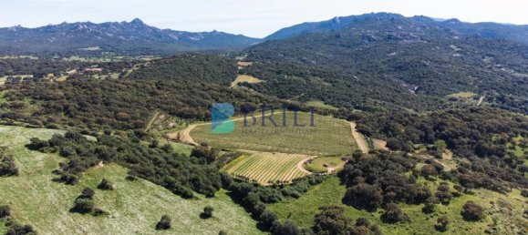 265m² Commercial property in Sant'Antonio di Gallura, Italy No. 326955 16