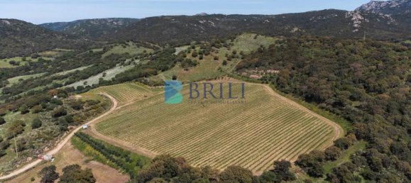 265m² Commercial property in Sant'Antonio di Gallura, Italy No. 326955 42