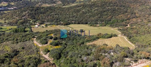 265m² Commercial property in Sant'Antonio di Gallura, Italy No. 326955 18