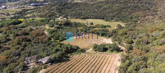 265m² Commercial property in Sant'Antonio di Gallura, Italy No. 326955 19